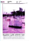 img003.jpeg.small.jpeg